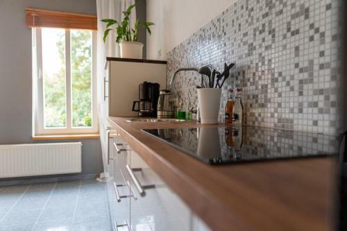 Apartamento Altstadtbleibe
