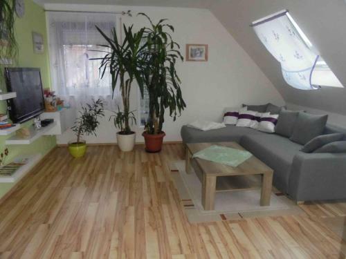 Apartamento Ferienwohnung Im Barockwinkel