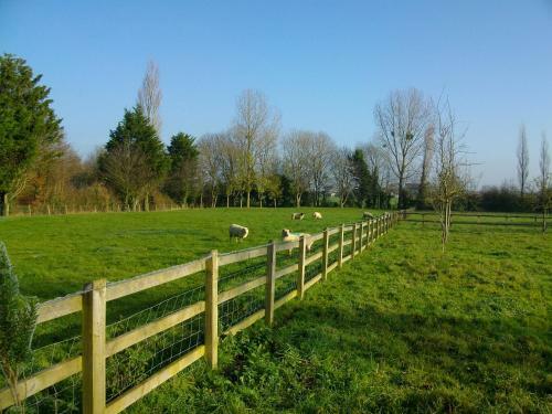 The Barton Annexe