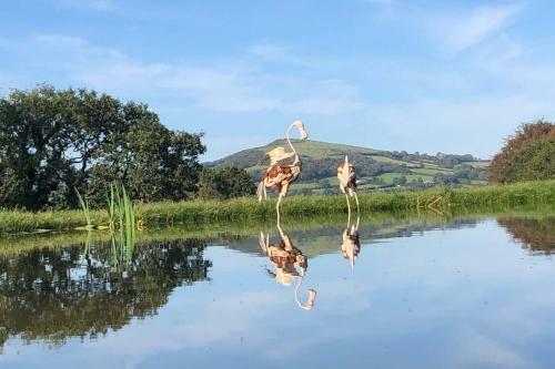 Stags View,unique Eco Cabin, Dartmoor Views