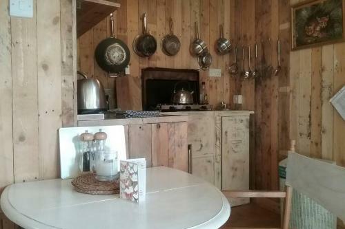 Foxesden, Unique Eco Cabin, Dartmoor Views