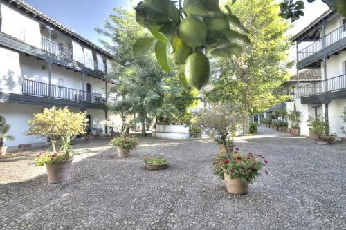 Apartamento Un Oasis En El Coraz�n de Sevilla
