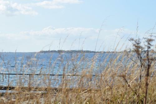 Apartamento Fehmarnstrand 77 Whg 5