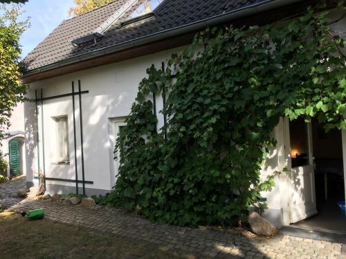 Fischer�s H�uschen