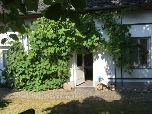 Fischer�s H�uschen