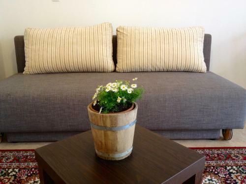 Apartment Studio Van Bakel Gerard
