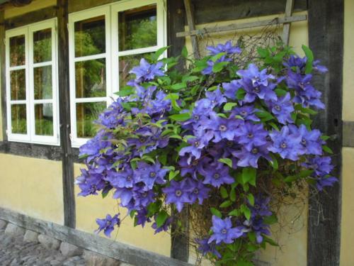 Apartamento Landhaus Kiesow