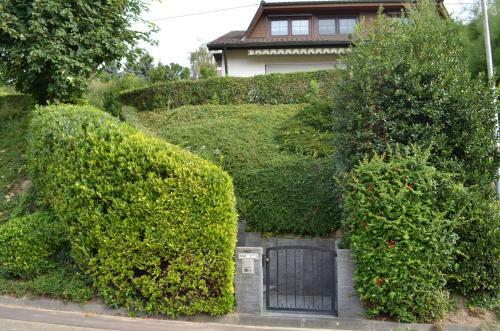 Apartamento Ferienwohnung Kaiserstuhlblick