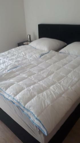 Apartamento Fewo 1