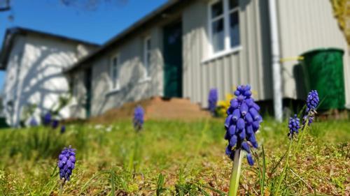 Apartamento Ferienwohnungen Unter Den Linden