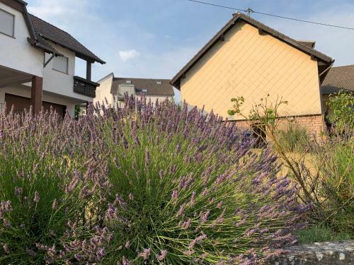 Apartamento Home Feeling Trierweiler