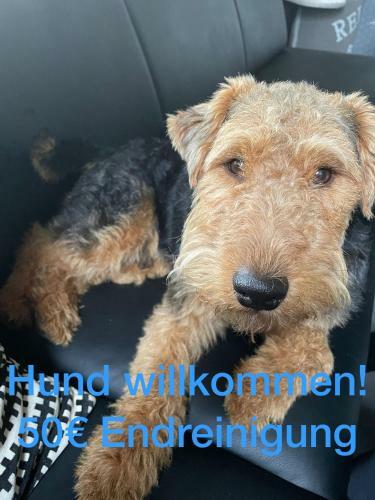 Apartamento Strandkieker 3 Hier Sind Hunde Willkommen