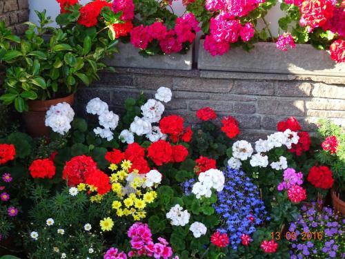 Hostal G�stehaus Maria