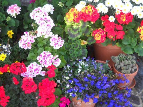 Hostal G�stehaus Maria