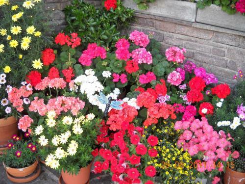 Hostal G�stehaus Maria