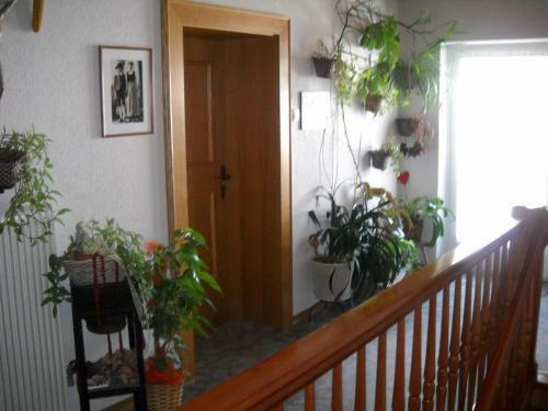 Hostal G�stehaus Maria
