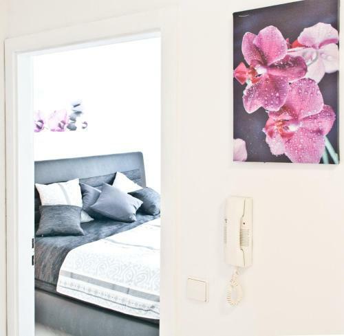 Apartamentos Loft Orchidee