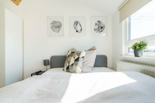 Apartamento T11-appartements & Boardinghouse