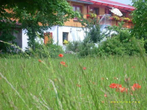 Apartamento Ferienhof Gold