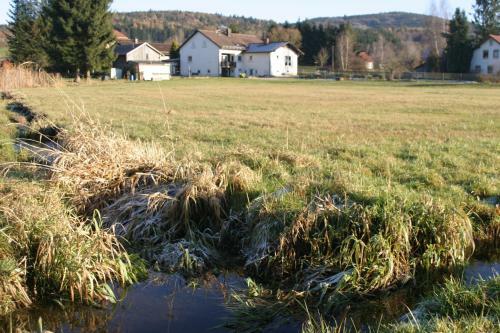 Apartamento Haus Am Treffenbach
