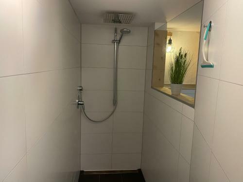Apartamento Ferienwohnung Schwarzwaldhirsch Im Herzen Von Waldshut