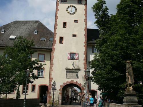 Apartamento Ferienwohnung Schwarzwaldhirsch Im Herzen Von Waldshut