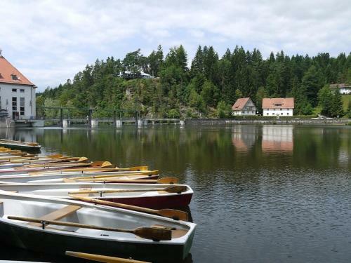 Ferienhaus Nr 3a2, Feriendorf Hagb�gerl, Bayr Wald