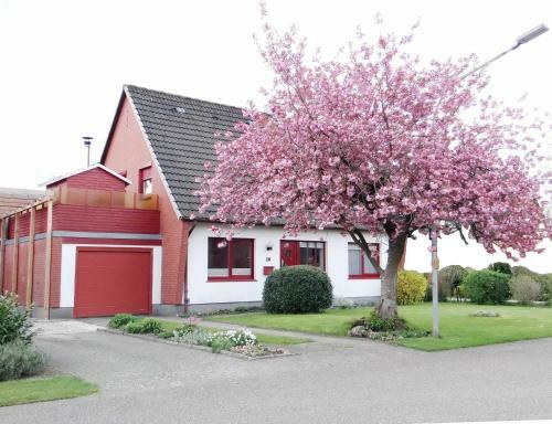 Apartamento Ferienwohnung Mohr