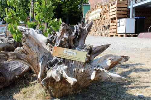 Hostal Heinrich's Pension & Cafe-wirtschaft