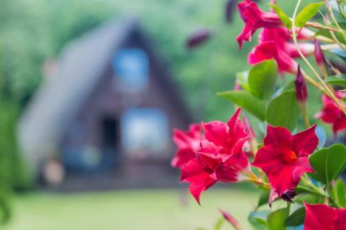 Uriges Tinyhouse Nahe Der Ostsee