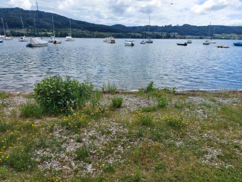 Apartamento Ferienwohnung Greti