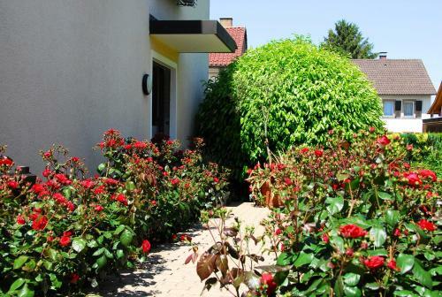 Apartamento Haus Gies