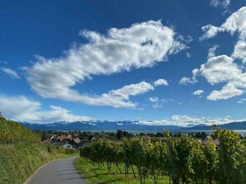 Apartamento Panorama Waldblick