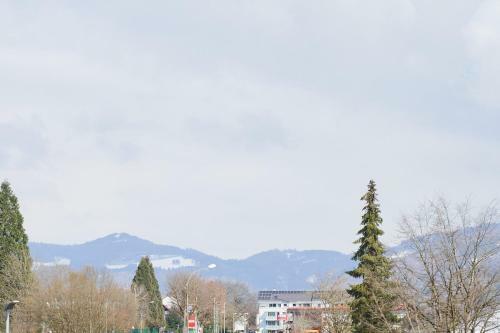 Apartwehr Business&ferien Apartment T�rkis