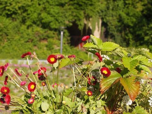 Apartements Im Tsb Sportpark