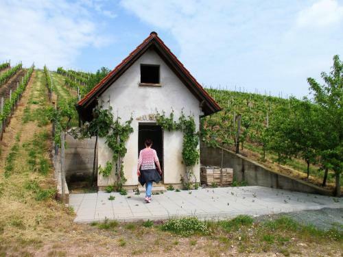 Apartamento Haus Mit Seele Im Nahetal
