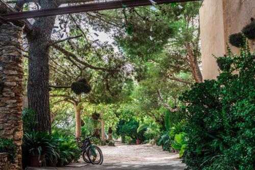 Apartamento Finca Rural Son Amer