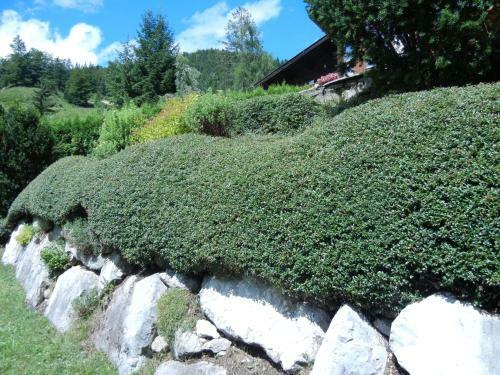 Privathaus Achensee