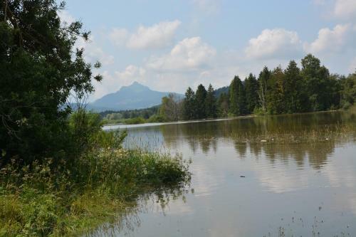 Apartamento Alpenblick
