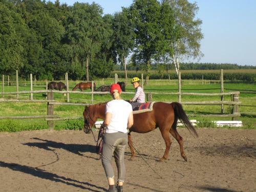 Ferienhof Drewes Ranch