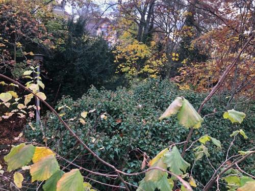 Ferienwohnung Black Beauty