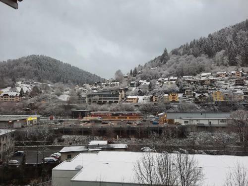 Apartment Wildbad