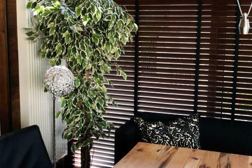 Apartamento Ferienhaus Taubergie_en