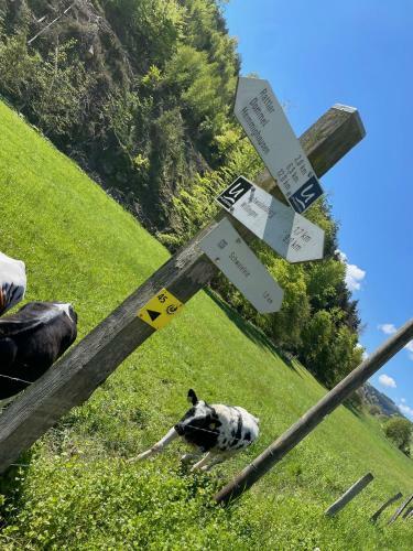 Apartamento Ferienwohnung Up Willingen-schwalefeld