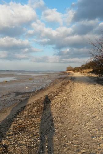 Hostal Pension Am Burgwall