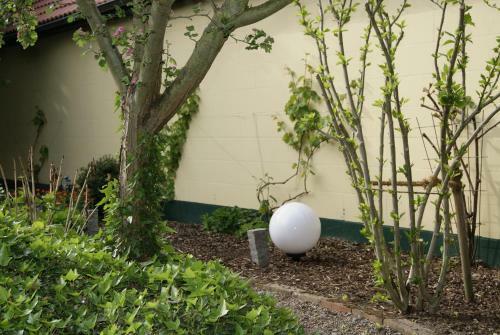 Apartamento Ferienwohnungen Maedchen