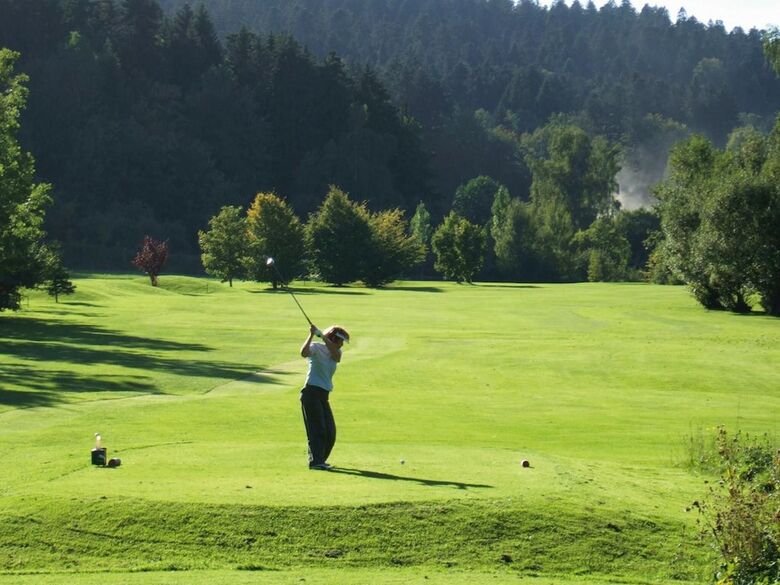 Hotel Gr�ner Wald