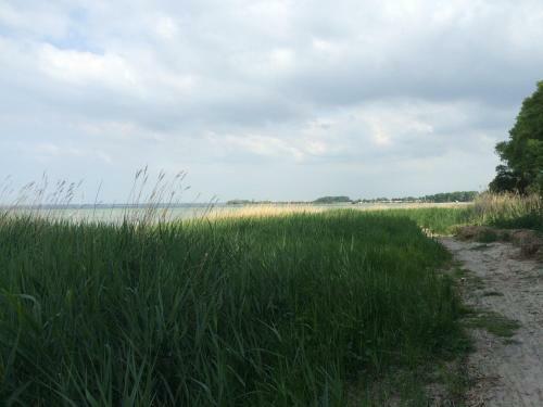 Emilias H�s, Reethaus In Der Bucht Von Wismar