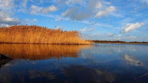 Emilias H�s, Reethaus In Der Bucht Von Wismar