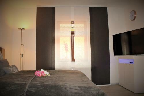 Budget Apartments - Salzhausblick Ferienwohnungen